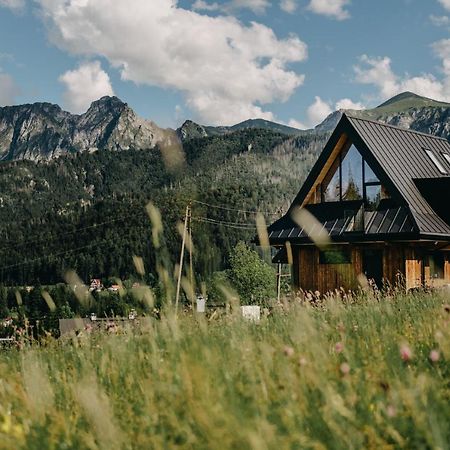 Sywarne Chalet Kościelisko Exterior foto